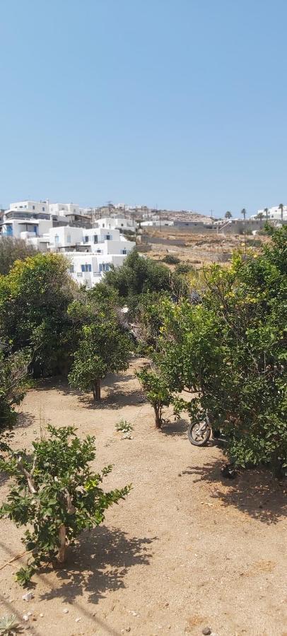 Demis Mykonos Stay 2 Platys Gialos  Екстер'єр фото